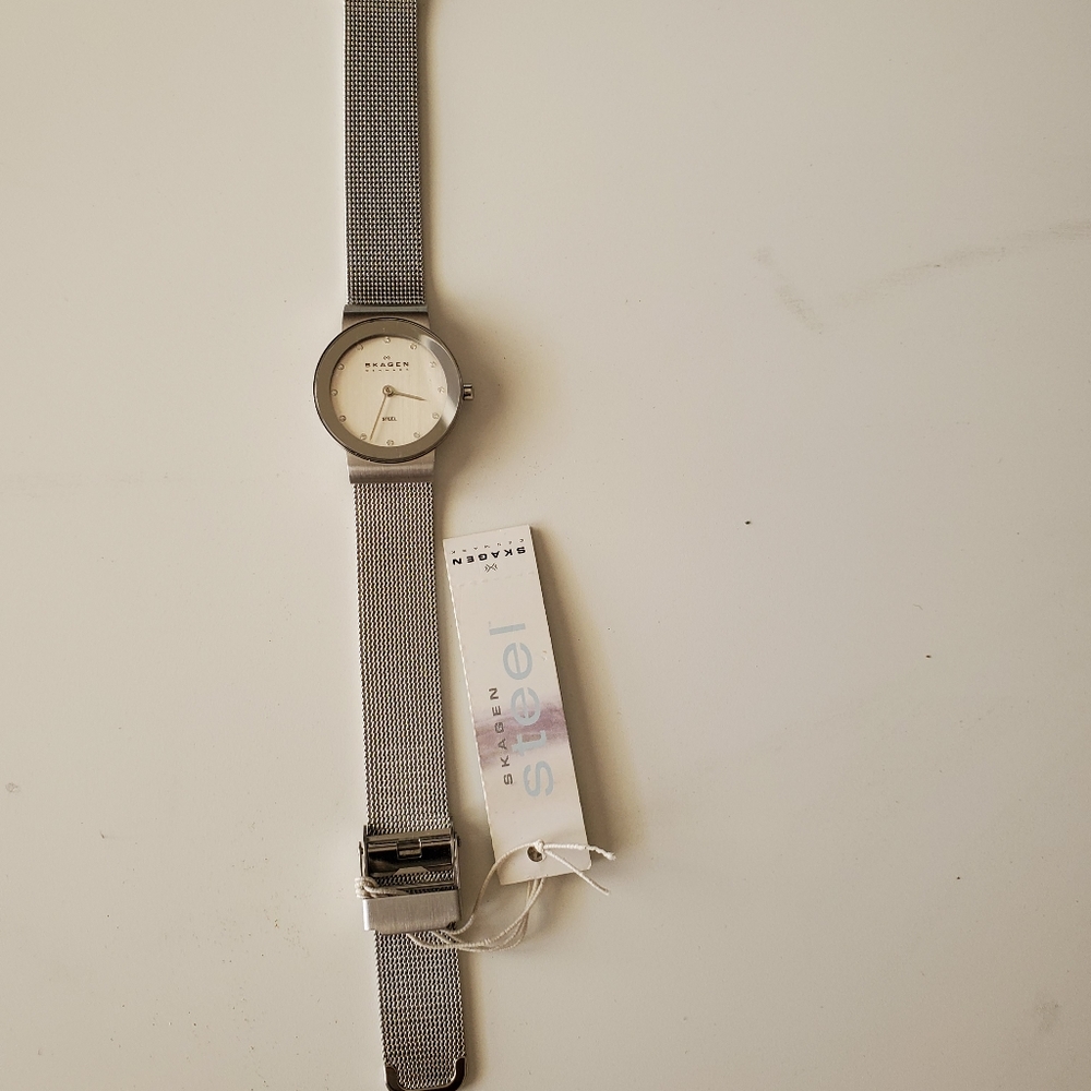 Skagen Watch